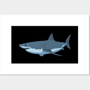 Great White Shark Posters and Art